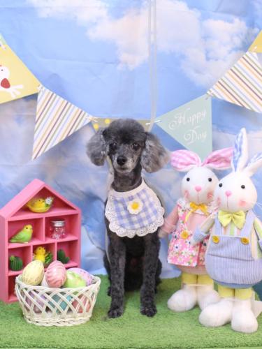 20240316もっぷくん